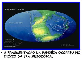 A FRAGMENTAÇÃO DA PANGÉIA OCORREU NO INÍCIO DA ERA MESOZÓICA. 