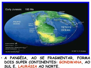 A PANGÉIA, AO SE FRAGMENTAR, FORMA DOIS SUPER CONTINENTES:  GONDWANA , AO SUL E,  LAURÁSIA  AO NORTE. 
