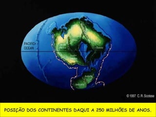 POSIÇÃO DOS CONTINENTES DAQUI A 250 MILHÕES DE ANOS. 