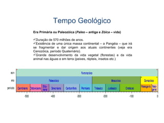 Tempo Geológico Era Primária ou Paleozóica ( Paleo  – antiga e  Zóica  – vida) Duração de 570 milhões de anos. Existência de uma única massa continental – a Pangéia – que irá se fragmentar e dar origem aos atuais continentes (veja era Cenozóica, período Quaternário). Grande desenvolvimento da vida vegetal (florestas) e da vida animal nas águas e em terra (peixes, répteis, insetos etc.) 