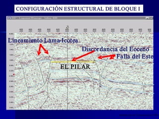 CONFIGURACIÓN ESTRUCTURAL DE BLOQUE I




Lineamiento Lama­Icotea 
                           Discor dancia del Eoceno 
                                        Falla del Este 
                 EL PILAR 




                                         Modificado de Tecnosinergia (1998) 
 
