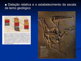 ■  Datação relativa e o estabelecimento da escala de temo geológico 
