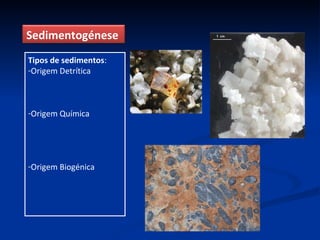 Tipos de sedimentos : Origem Detrítica Origem Química Origem Biogénica Sedimentogénese  