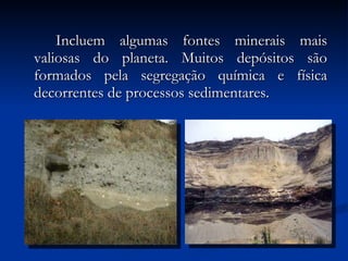Incluem algumas fontes minerais mais valiosas do planeta. Muitos depósitos são formados pela segregação química e física decorrentes de processos sedimentares. 