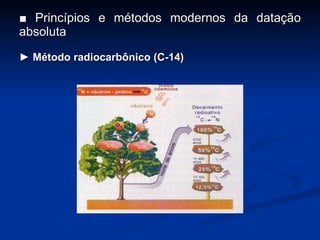 ■  Princípios e métodos modernos da datação absoluta ►  Método radiocarbônico (C-14) 