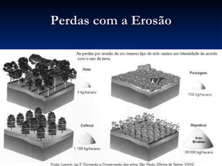 Perdas com a Erosão 