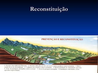 Reconstituição 