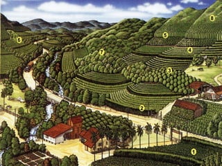 Classe 1: terras cultiváveis aparentemente sem problemas de conservação; são as áreas planas;  Classe 2: terras aptas para agricultura que exigem trabalho de conservação; são os terrenos pouco  inclinados;  Classe 3: terras cultivavéis com grandes exigências de conservação; são terrenos inclinados;  Classe 4: terras muito inclinadas cultivadas apenas ocasionalmente, exigindo grande trabalho de  conservação; são as encostas íngremes;  Classe 5: terras cultivavéis apenas em casos especiais e com culturas permanentes, as quais, uma  vez estabelecidas, exigem pouco trabalho de conservação, como é o caso dos reflorestamentos ou  pastagens;  Classe 6: terras de difícil cultivo devido à grande presença de pedras e ao relevo montanhoso;  Classe  7: terras onde as restrições para o cultivo anual são totais; são terras altamente  susceptíveis à degradação pela erosão;  Classe  8: terras impróprias para culturas anuais, pastagens e reflorestamento, sendo utilizadas  apenas para abrigo da fauna silvestre, preservação, recreação e armazenamento de água.  