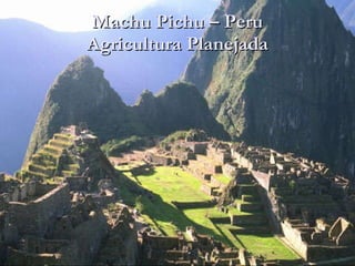 Machu Pichu – Peru Agricultura Planejada 