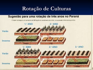 Rotação de Culturas 