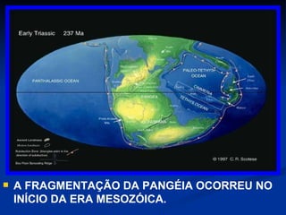 A FRAGMENTAÇÃO DA PANGÉIA OCORREU NO INÍCIO DA ERA MESOZÓICA. 
