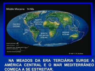NA MEADOS DA ERA TERCIÁRIA SURGE A AMÉRICA CENTRAL E O MAR MEDITERRÂNEO COMEÇA A SE ESTREITAR. 