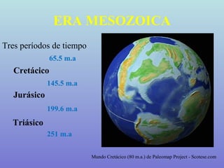 ERA MESOZOICA
Tres períodos de tiempo
               65.5 m.a
   Cretácico
              145.5 m.a
   Jurásico
              199.6 m.a
  Triásico
              251 m.a

                          Mundo Cretácico (80 m.a.) de Paleomap Project - Scotese.com
 