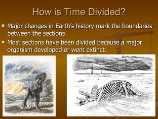 How is Time Divided? Major changes in Earth’s history mark the boundaries between the sections Most sections have been divided because a major organism developed or went extinct.  