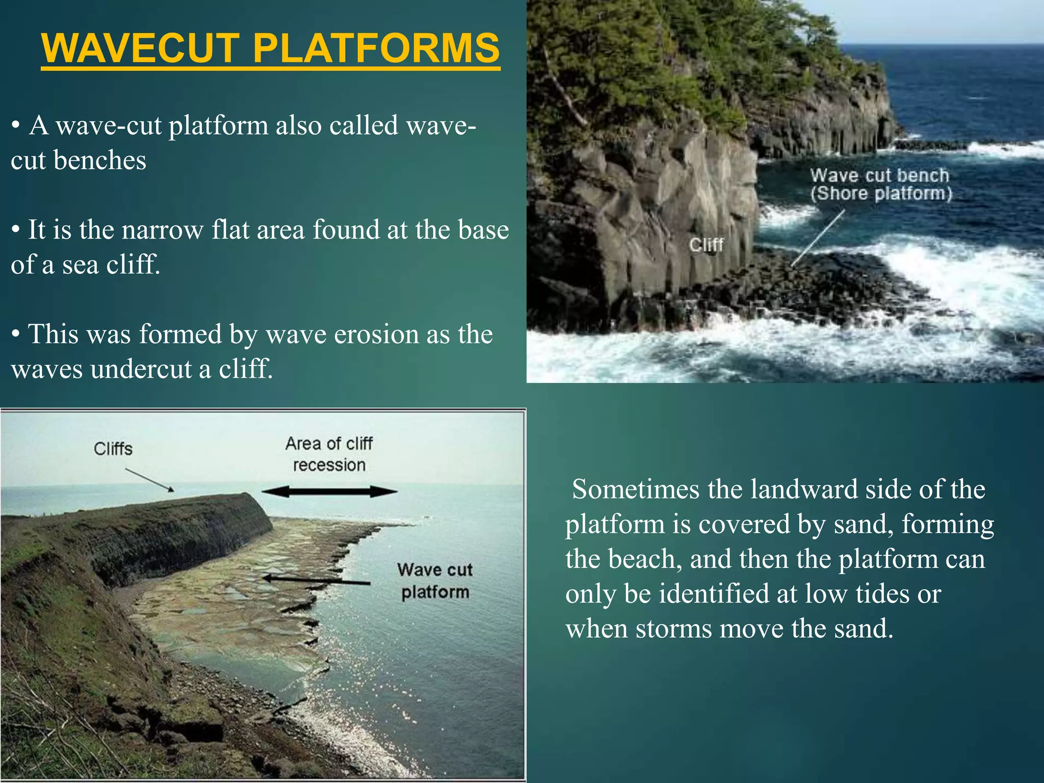WAVECUT PLATFORMS
• A wave-cut platform also called wave-
cut benches
• It is the narrow flat area found at the base
of a sea cliff.
• This was formed by wave erosion as the
waves undercut a cliff.
Sometimes the landward side of the
platform is covered by sand, forming
the beach, and then the platform can
only be identified at low tides or
when storms move the sand.
 