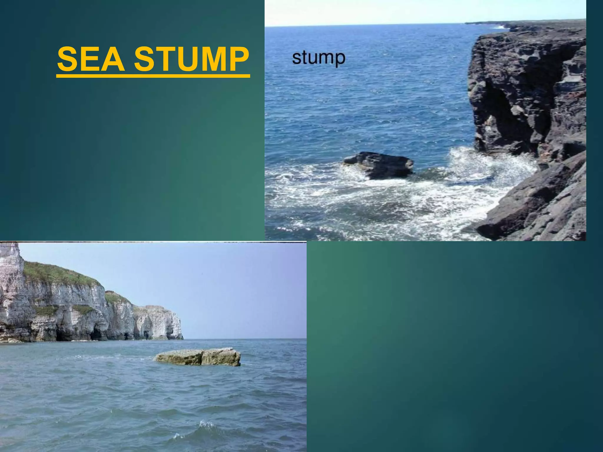 SEA STUMP
 
