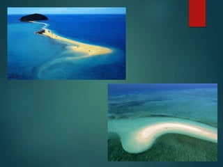 waves and currents | PPTX