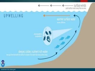 waves and currents | PPTX