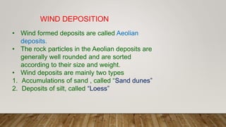 WIND DEPOSITION
• Wind formed deposits are called Aeolian
deposits.
• The rock particles in the Aeolian deposits are
generally well rounded and are sorted
according to their size and weight.
• Wind deposits are mainly two types
1. Accumulations of sand , called “Sand dunes”
2. Deposits of silt, called “Loess”
 