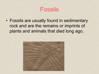 Fossils
• Fossils are usually found in sedimentary
rock and are the remains or imprints of
plants and animals that died long ago.
 