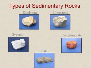 Types of Sedimentary Rocks
Gypsum
Sandstone
Shale
Limestone
Conglomerate
 