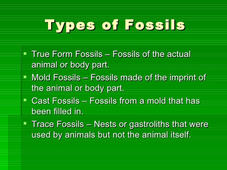 geological dating what is a true form fossil