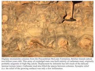 Geological Digressions.pptx