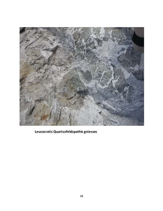 68
Leucocratic Quartzofeldspathic gniesses
 