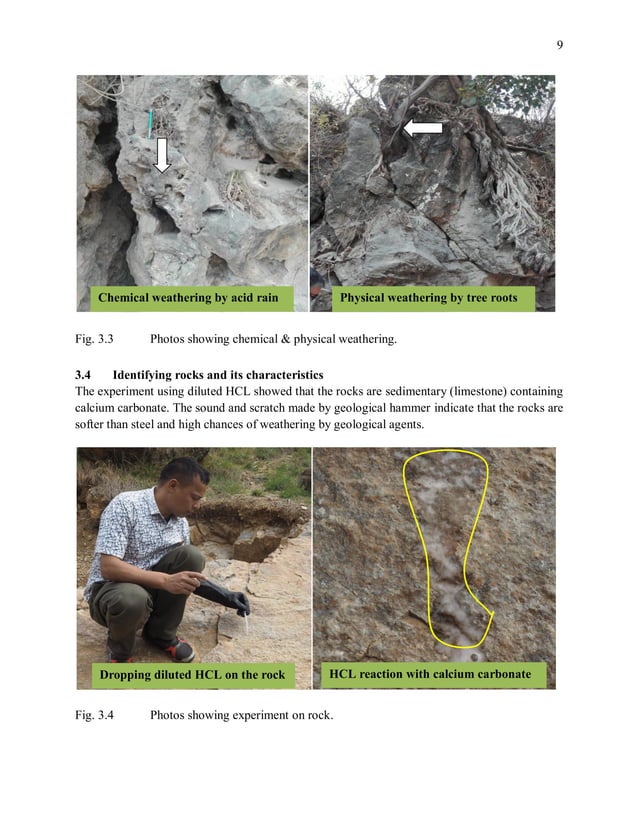 Geological fieldwork report