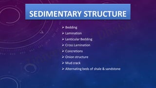 Geological Fieldwork on Sitakund Anticline | PDF