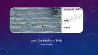 Geological Fieldwork on Sitakund Anticline | PDF