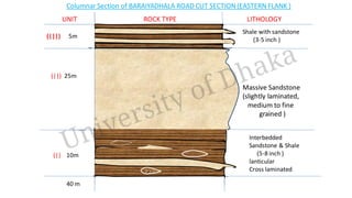 Geological Fieldwork on Sitakund Anticline | PDF