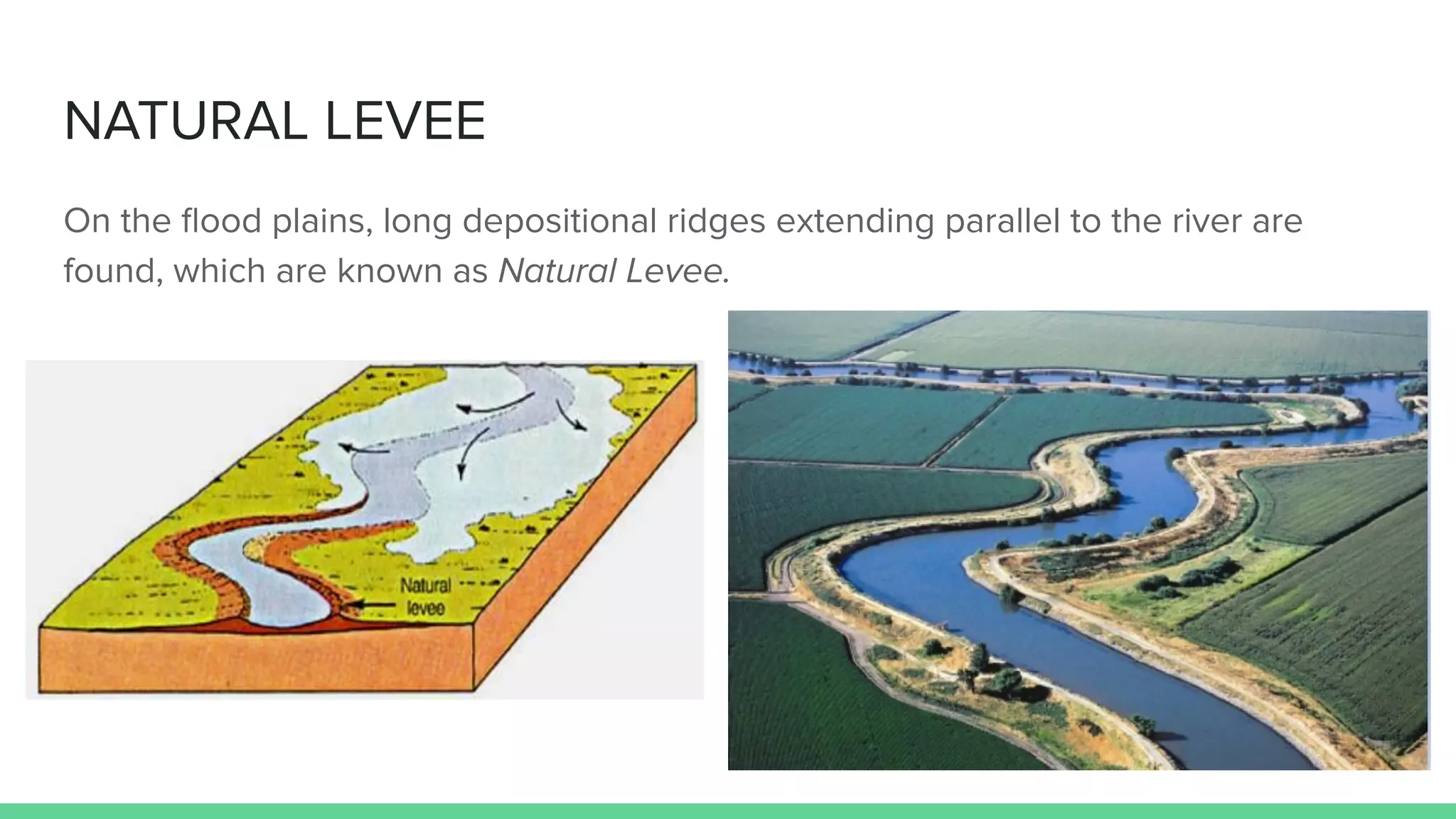 NATURAL LEVEE
On the ﬂood plains, long depositional ridges extending parallel to the river are
found, which are known as Natural Levee.
 