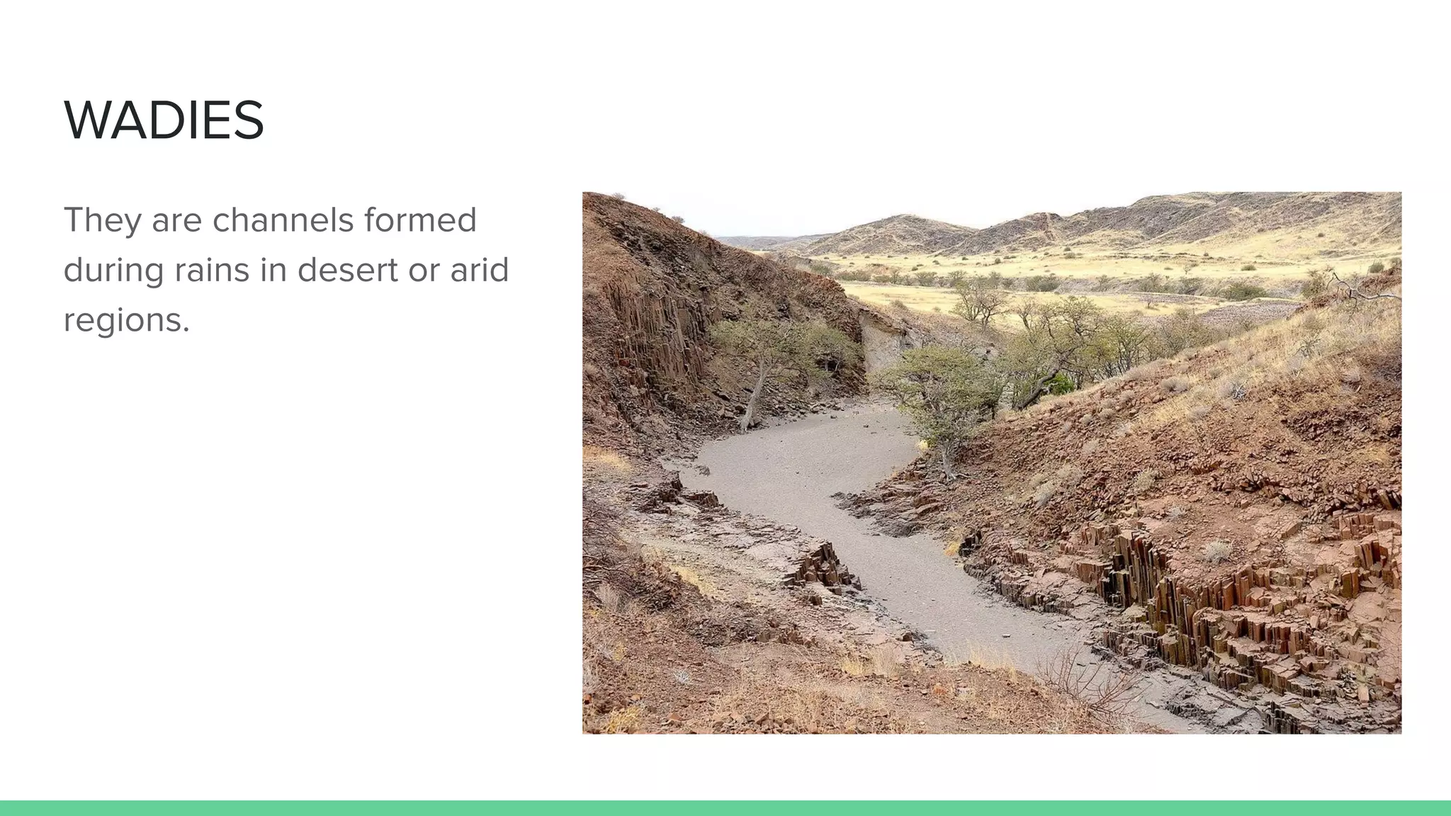 WADIES
They are channels formed
during rains in desert or arid
regions.
 