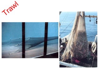 Trawl Sampling Rocks Geological oceanographic research equipment powerpoint | PPT