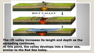 The rift valley increases its length and depth as the
spreading continues.
At this point, the valley develops into a linear sea,
similar to the Red Sea today.
 