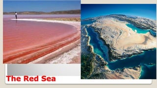 The Red Sea
 