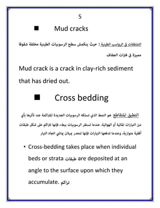 5 
 Mud cracks Mud crack is a crack in clay-rich sediment that has dried out. 
 Cross bedding • Cross-bedding takes place when individual beds or strata are deposited at an angle to the surface upon which they accumulate.  