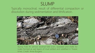 SLUMP
Typically monoclinal, result of differential compaction or
dissolution during sedimentation and lithification.
Slump Fold An almost isoclinal fold (coin, seaweed and shells for
scale) formed as wet layers of mud settled and solidified in Triassic
times. Credit: Anne Burgess
 