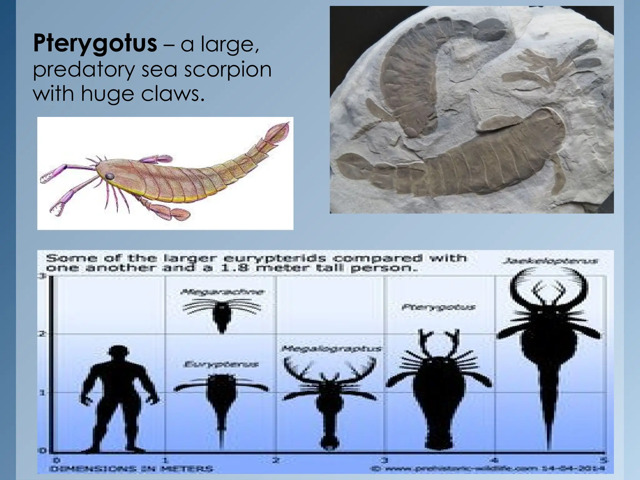 GEOLOGICAL TIMELINE EARTH AND LIFE SCIENCES.pptx Free Download