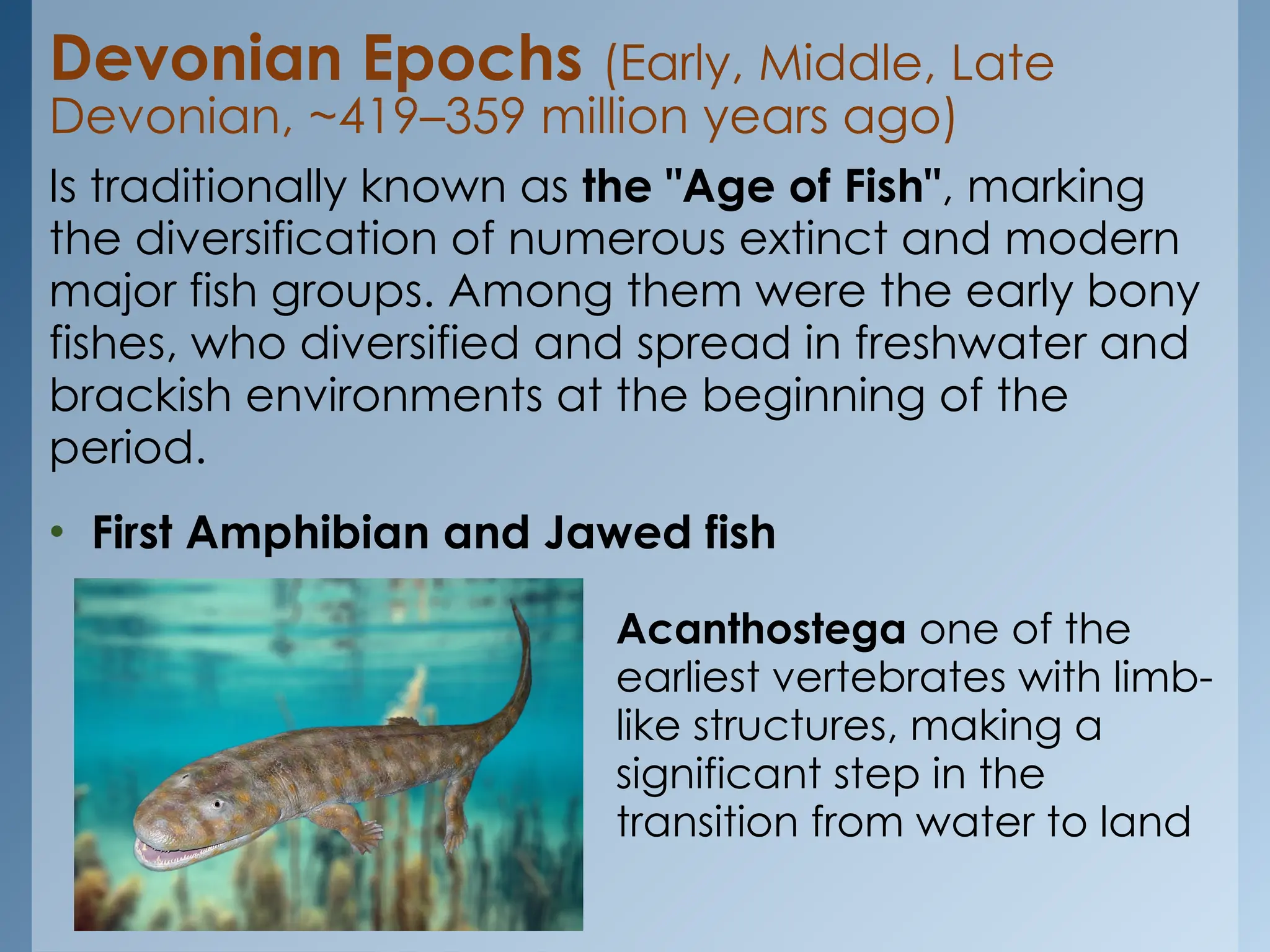 GEOLOGICAL TIMELINE EARTH AND LIFE SCIENCES.pptx Free Download