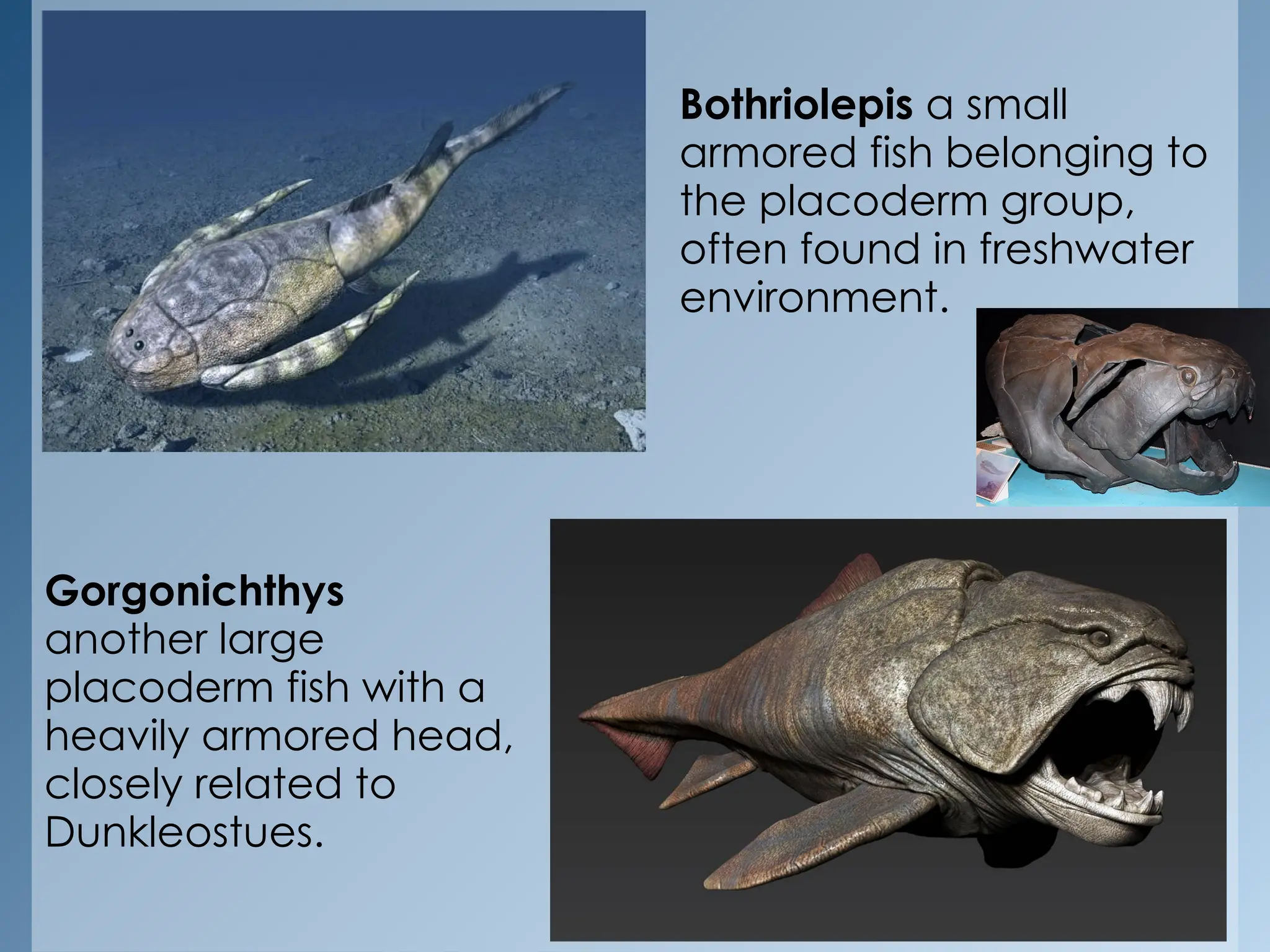 GEOLOGICAL TIMELINE EARTH AND LIFE SCIENCES.pptx Free Download