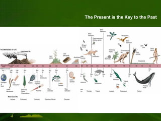The Present is the Key to the Past
 