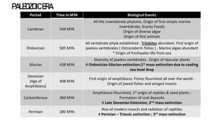 PALEOZOICERA
Period Time in MYA Biological Events
Cambrian 544 MYA
All the invertebrate phylums, Origin of first simple marine
invertebrate, Scanty Fossils
Origin of diverse algae
Origin of first animals
Ordovician 505 MYA
All vertebrate phyla established : Trilobites abundant. First origin of
jawless vertebrates ( Ostracoderm fishes ) . Marine algae abundant
* Origin of freshwater life from sea
Silurian 438 MYA
Diversity of jawless vertebrates . Origin of Vascular plants
# Ordovician-Silurian extinction;1st mass extinction due to cooling
sea level drop
Devonian
[Age of
Amphibians]
408 MYA
First origin of amphibians; Fishes flourished all over the world .
Origin of jawed fishes and winged insects
Carboniferous 360 MYA
Amphibians flourished, 1st origin of reptiles & seed plants :
Formation of coal deposits
# Late Devonian Extension, 2nd mass extinction
Permian 285 MYA
Rise of modern insects and radiation of repltiles
# Permian – Triassic extinction ; 3rd mass extinction
SlideSkimmers
 