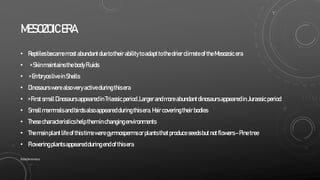 MESOZOIC ERA
• ReptilesbecamemostabundantduetotheirabilitytoadapttothedrierclimateoftheMesozoicera
• >SkinmaintainsthebodyFluids
• >EmbryosliveinShells
• Dinosaurswerealsoveryactiveduringthisera
• >FirstsmallDinosaursappearedinTriassicperiod,LargerandmoreabundantdinosaursappearedinJurassicperiod
• Smallmammalsandbirdsalsoappearedduringthisera.Haircoveringtheirbodies
• Thesecharacteristicshelptheminchangingenvironments
• Themainplantlifeofthistimeweregymnospermsorplantsthatproduceseedsbutnotflowers–Pinetree
• Floweringplantsappearedduringendofthisera
SlideSkimmers
 