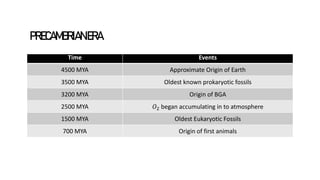 Time Events
4500 MYA Approximate Origin of Earth
3500 MYA Oldest known prokaryotic fossils
3200 MYA Origin of BGA
2500 MYA 𝑂2 began accumulating in to atmosphere
1500 MYA Oldest Eukaryotic Fossils
700 MYA Origin of first animals
PRECAMBRIANERA
SlideSkimmers
 