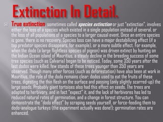  True extinction, sometimes called species extinction or just “extinction”, involves
either the loss of a species which existed in a single population instead of several, or
the loss of all populations of a species to a larger causal event. Once an entire species
is gone, there is no recovery. Species loss can have a major destabilizing effect (if a
top predator species disappears, for example), or a more subtle effect. For example,
when the dodo (a large flightless species of pigeon) was driven extinct by hunting on
the Indian Ocean island of Mauritius, a steady decline in the breeding success of some
tree species (such as Calvaria) began to be noticed. Today, some 350 years after the
last dodos were killed, few stands of these trees younger than 350 years are
observed. Though many other forces (such as deforestation) have also been at work in
Mauritius, the role of the dodo remains clear: dodos used to eat the fruits of these
trees, digesting the thin flesh on the surface and passing (only slightly scarred-up) the
large seeds. Probably giant tortoises also had this effect on seeds. The trees are
adapted to herbivory, and in fact “expect” it, and the lack of herbivores has led to
reduced natural rates of germination, and a change in forest structure. You can
demonstrate the “dodo effect” by scraping seeds yourself, or force-feeding them to
dodo-analogue turkeys (the experiment actually was done!); germination rates are
enhanced.
 