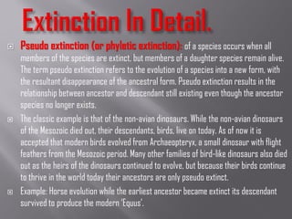  Pseudo extinction (or phyletic extinction): of a species occurs when all
members of the species are extinct, but members of a daughter species remain alive.
The term pseudo extinction refers to the evolution of a species into a new form, with
the resultant disappearance of the ancestral form. Pseudo extinction results in the
relationship between ancestor and descendant still existing even though the ancestor
species no longer exists.
 The classic example is that of the non-avian dinosaurs. While the non-avian dinosaurs
of the Mesozoic died out, their descendants, birds, live on today. As of now it is
accepted that modern birds evolved from Archaeopteryx, a small dinosaur with flight
feathers from the Mesozoic period. Many other families of bird-like dinosaurs also died
out as the heirs of the dinosaurs continued to evolve, but because their birds continue
to thrive in the world today their ancestors are only pseudo extinct.
 Example: Horse evolution while the earliest ancestor became extinct its descendant
survived to produce the modern ‘Equus’.
 