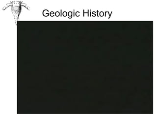 Geologic History
 