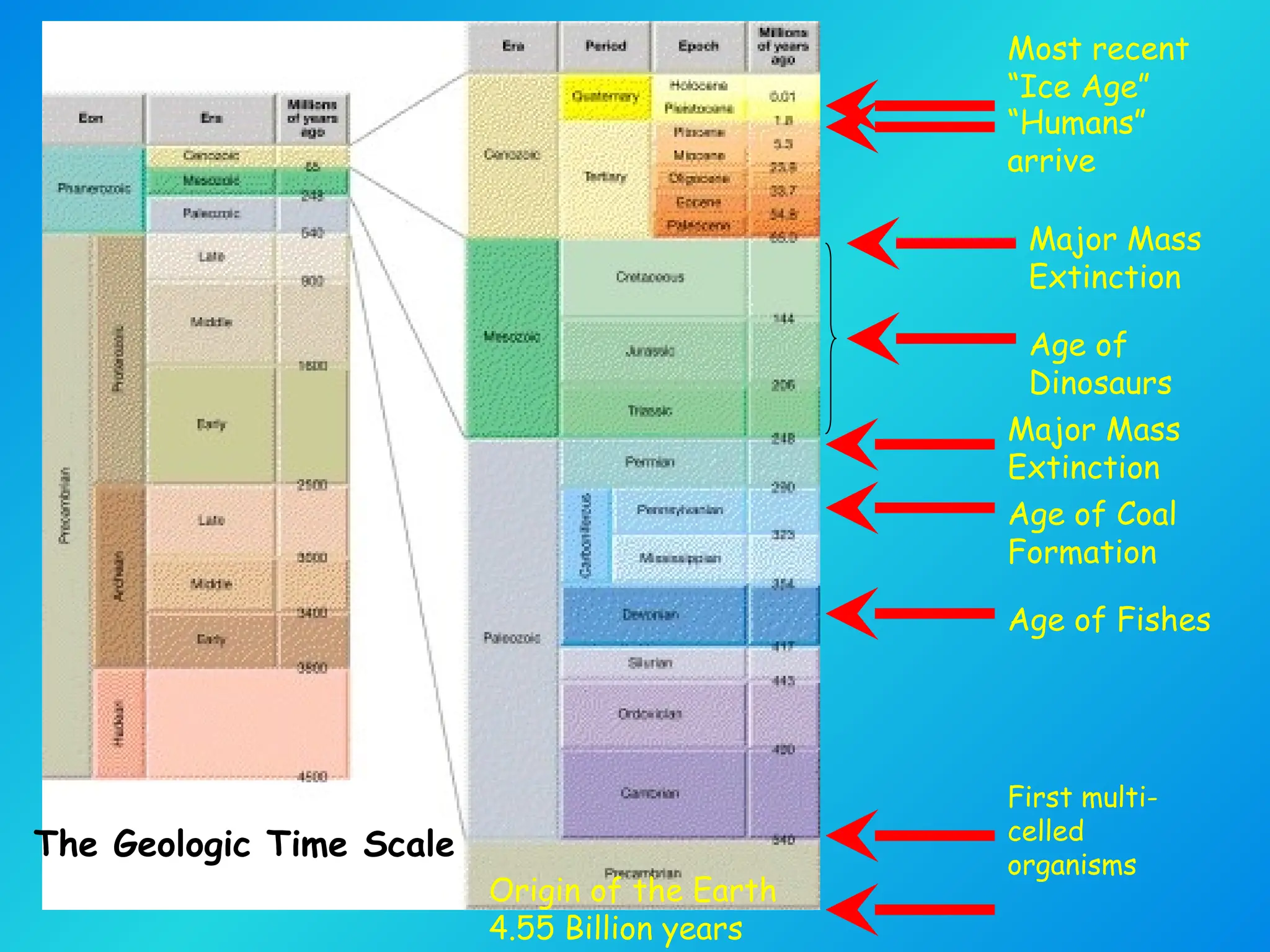 The Geologic Time Scale
Origin of the Earth
4.55 Billion years
First multi-
celled
organisms
Age of Fishes
Age of Coal
Formation
Major Mass
Extinction
Age of
Dinosaurs
Major Mass
Extinction
“Humans”
arrive
Most recent
“Ice Age”
 